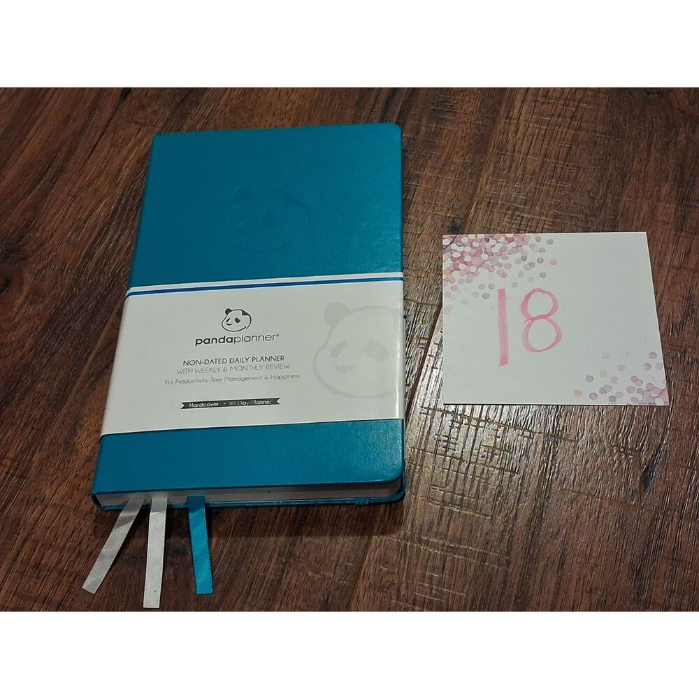 3 Month Unused Panda Planner Classic in Cyan 8.25 x 5.75"